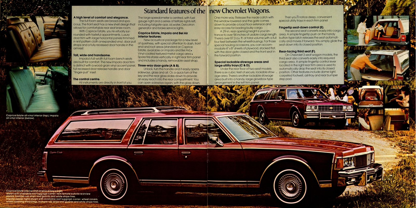 n_1977 Chevrolet Full Size (Cdn)-18-19.jpg